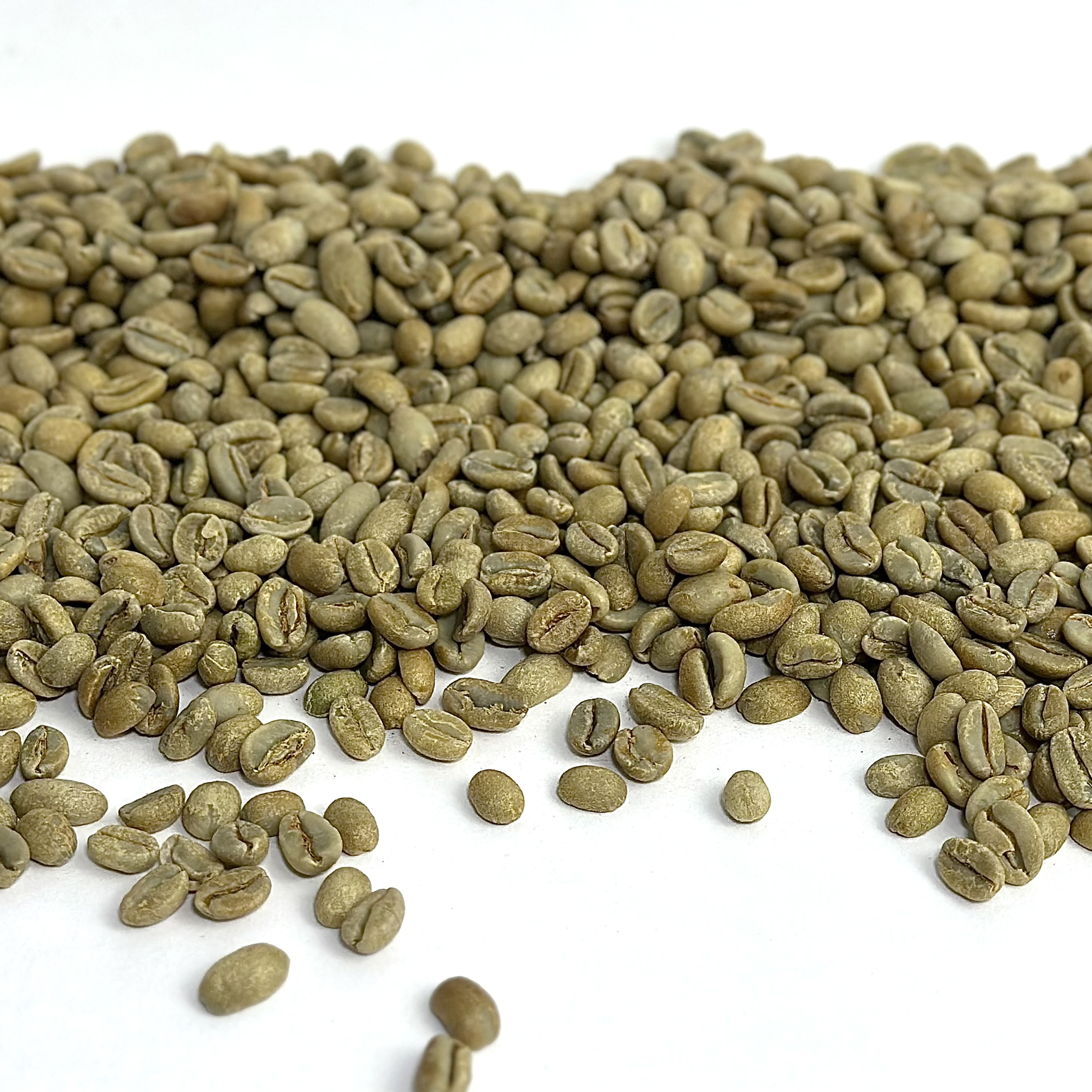 Green coffee deals wholesale